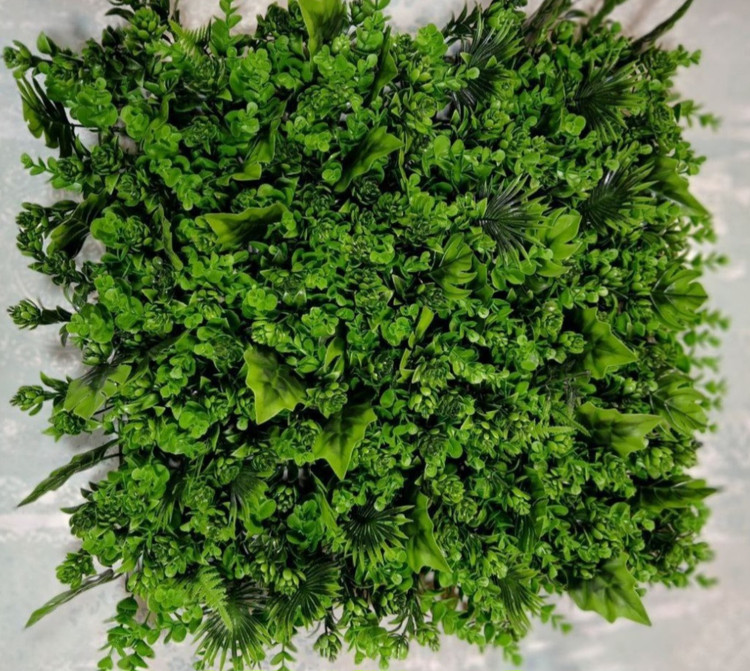 گرینوال جنگلی ریحون