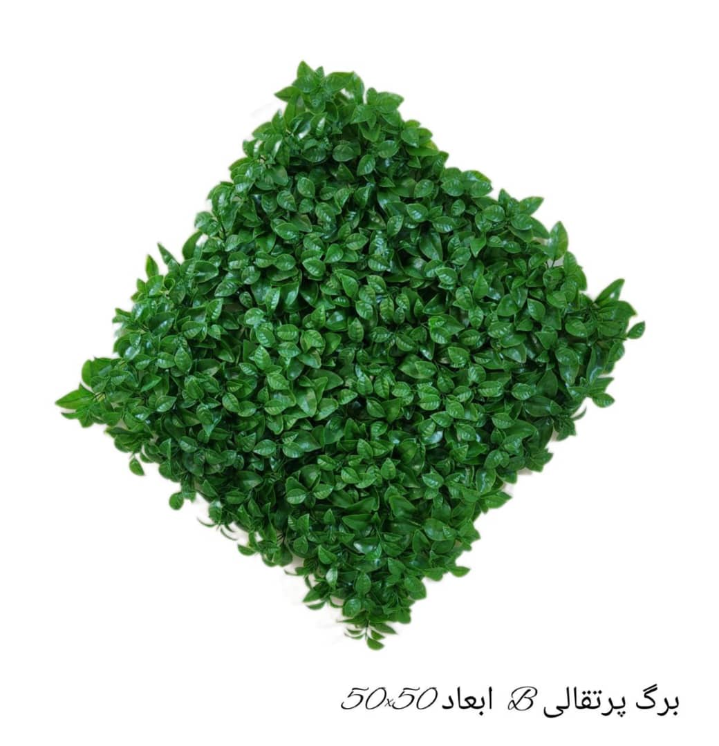 گرینوال برگ پرتقالی