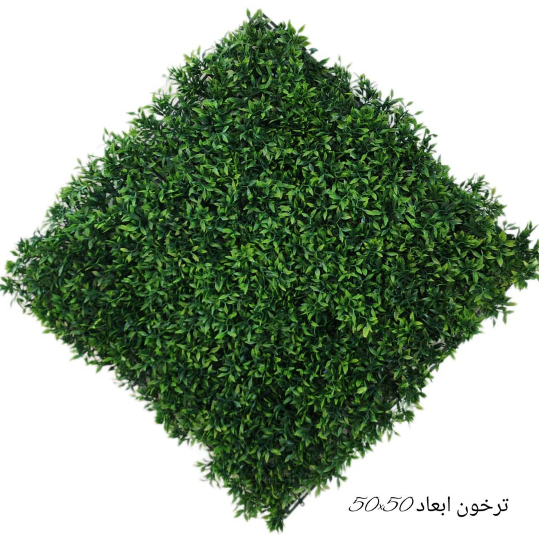 گرینوال ترخون ابعاد پنل ۵۰در۵۰